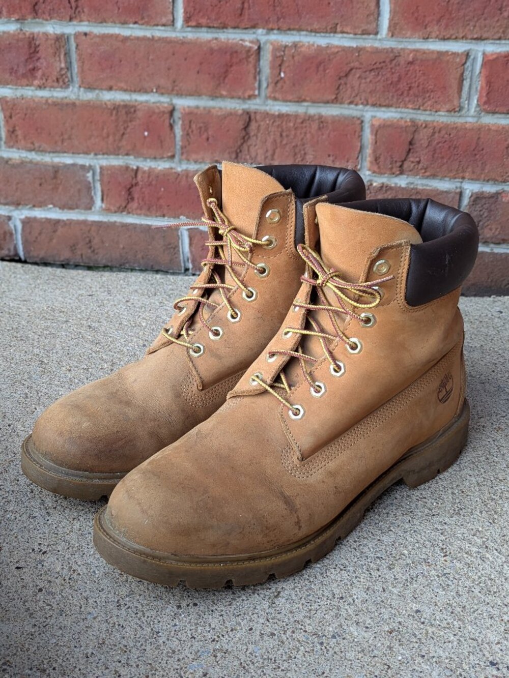 Timberland Leather Wheat 6-Inch Waterproof Boots (men's 11)